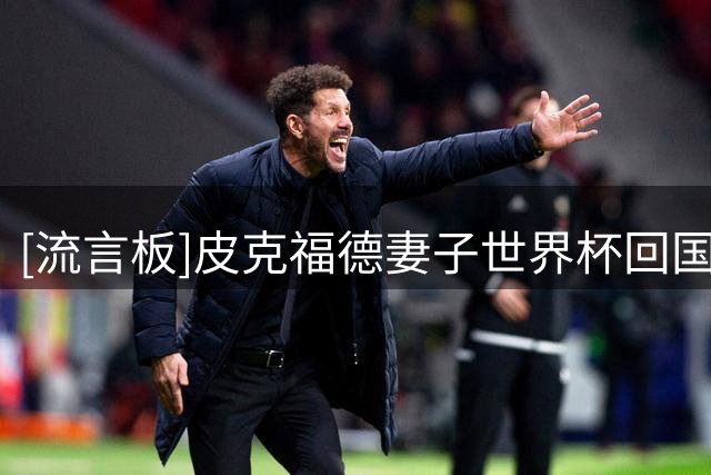 [流言板]皮克福德妻子世界杯回国航班延误近一天，在跑道滞留六小时
